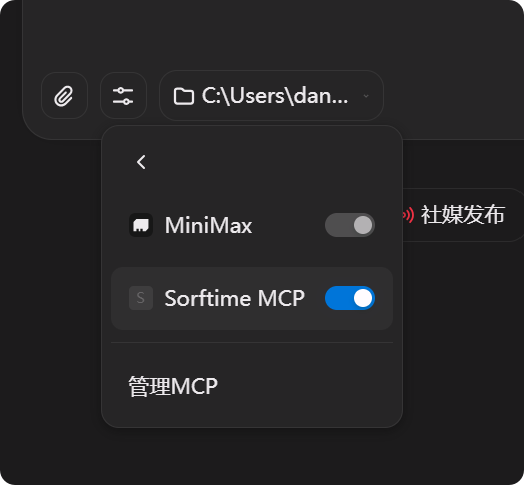 启用Sorftime MCP